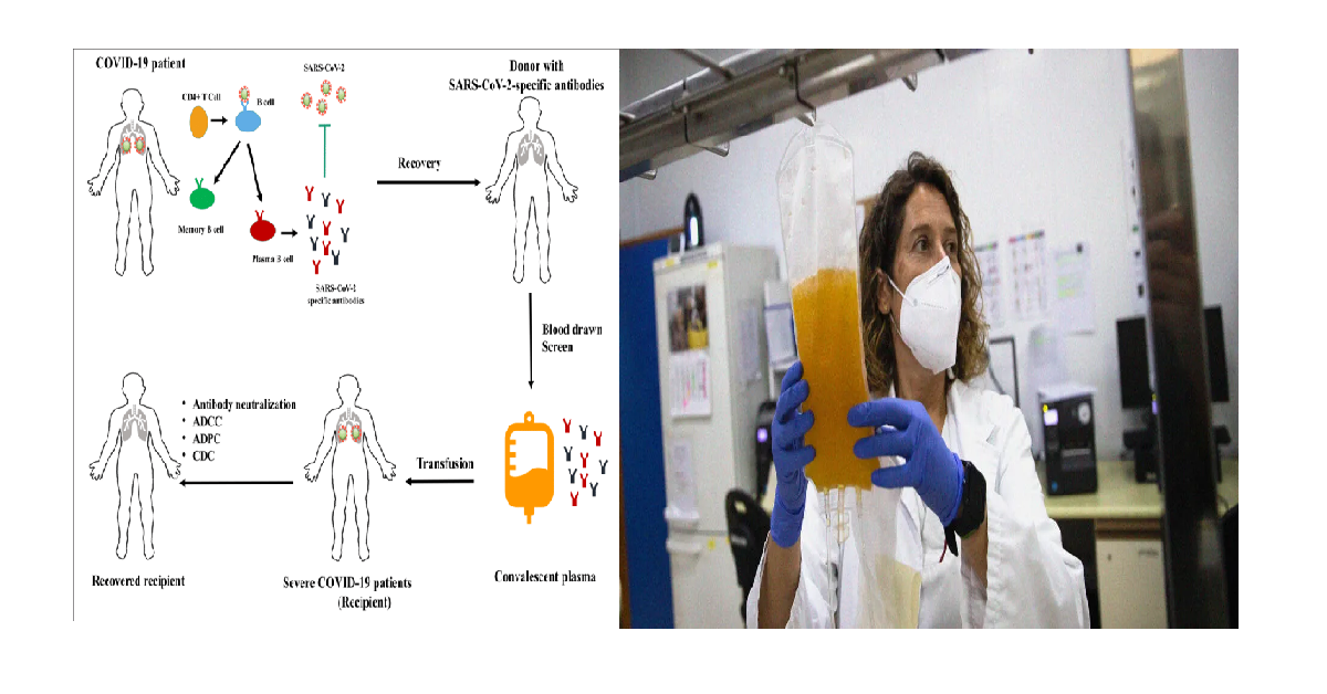 plasma therapy useful for covid cases?