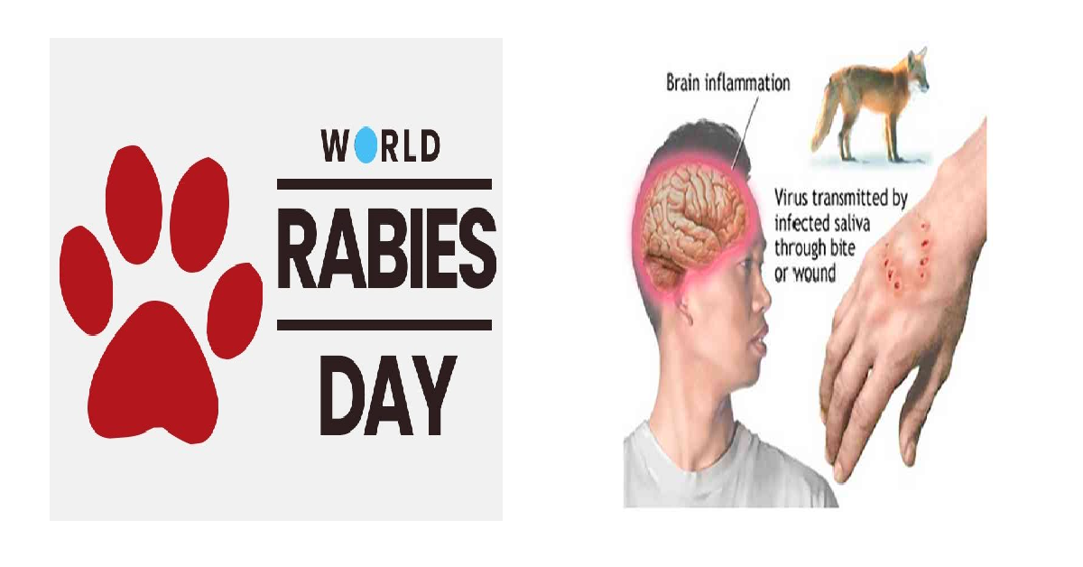 World Rabies Day