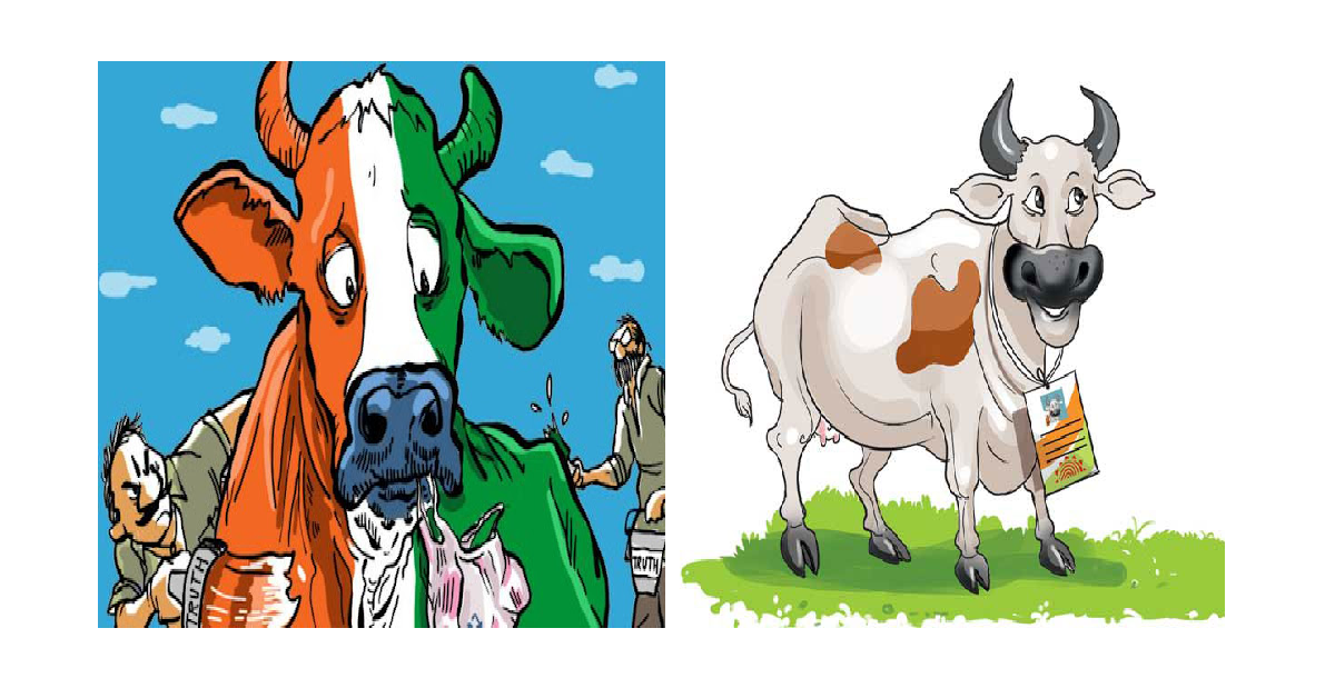 Cow and Indian politics