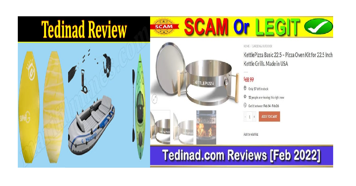 Tedinad.com website review