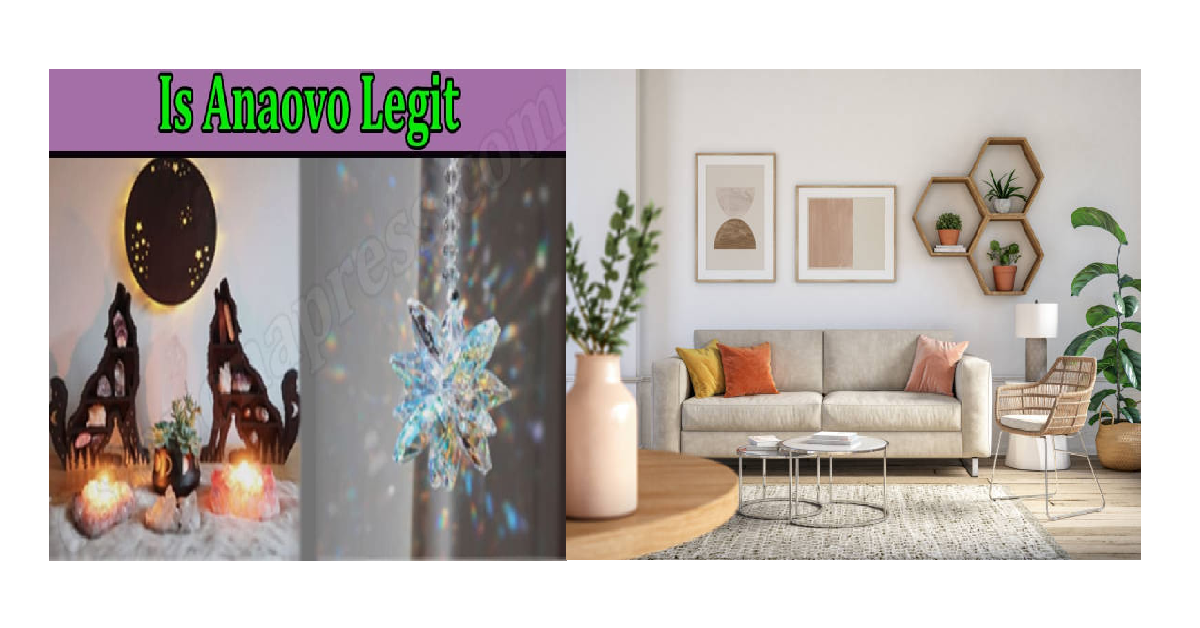 anaovo.com website review