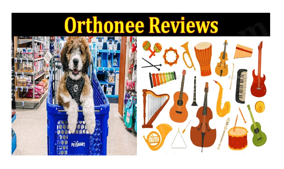 orthonee.com website review