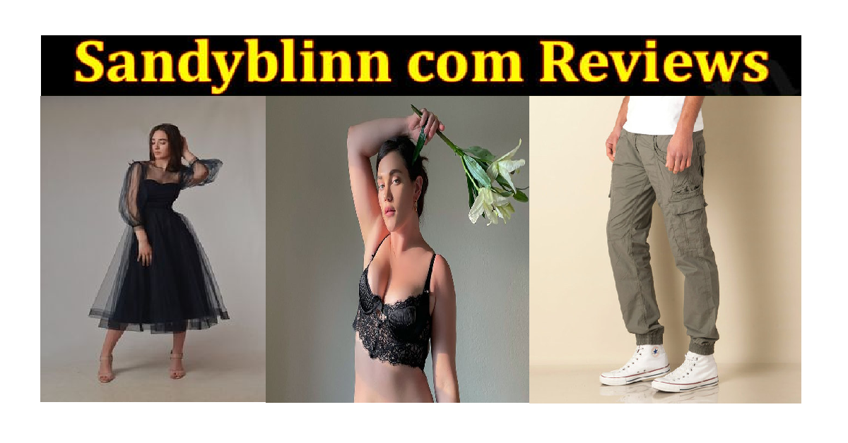 sandyblinn.com website review