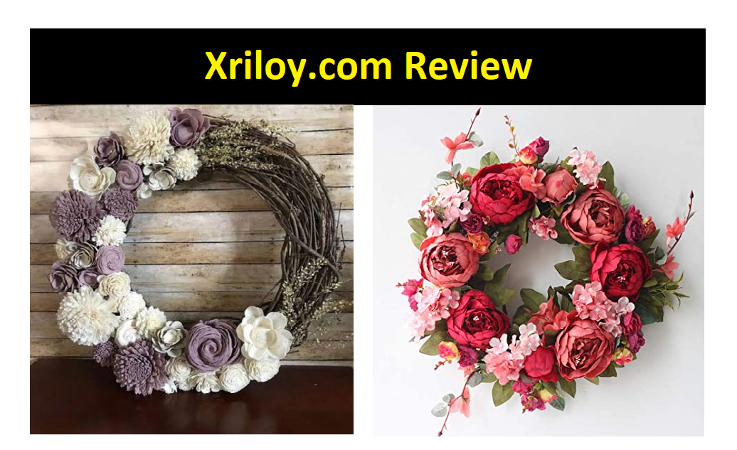Xriloy.com website review
