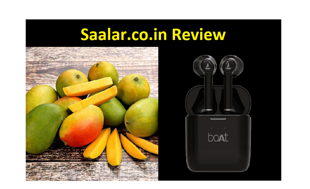 Saalar.co.in website review