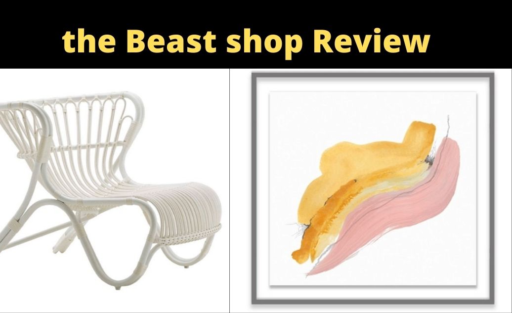 the Beast shop Review