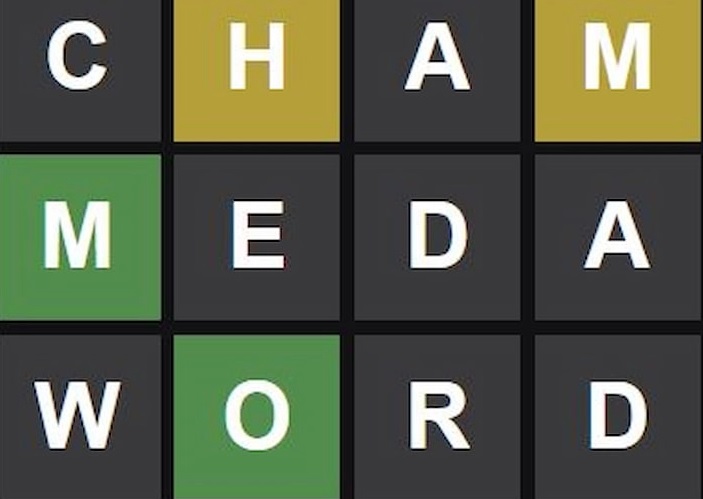 Fencing Wordle