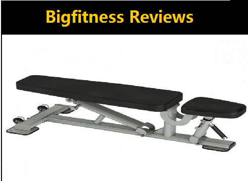 Bigfitness