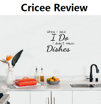 Cricee Review