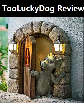 TooLuckyDog