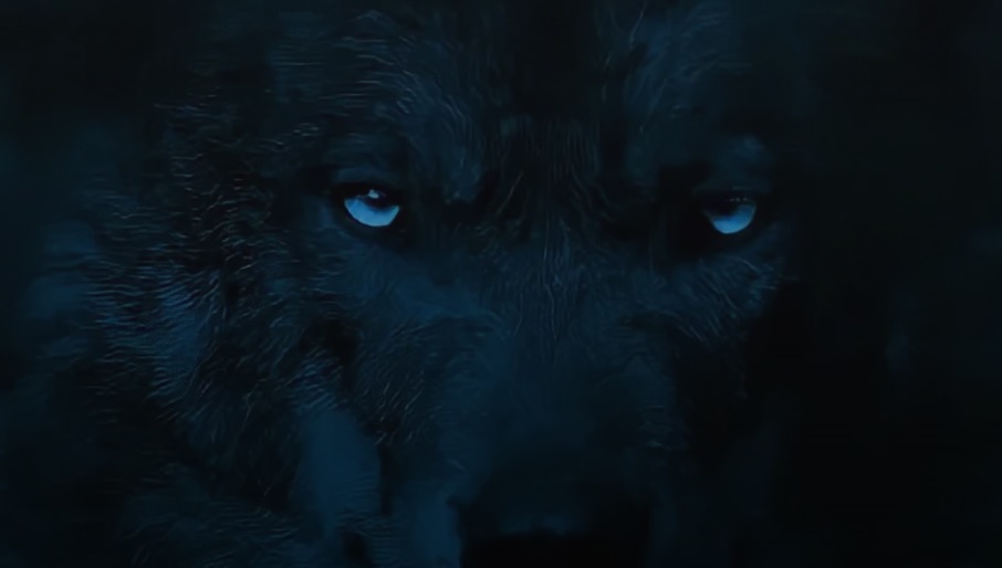 Wolf mission