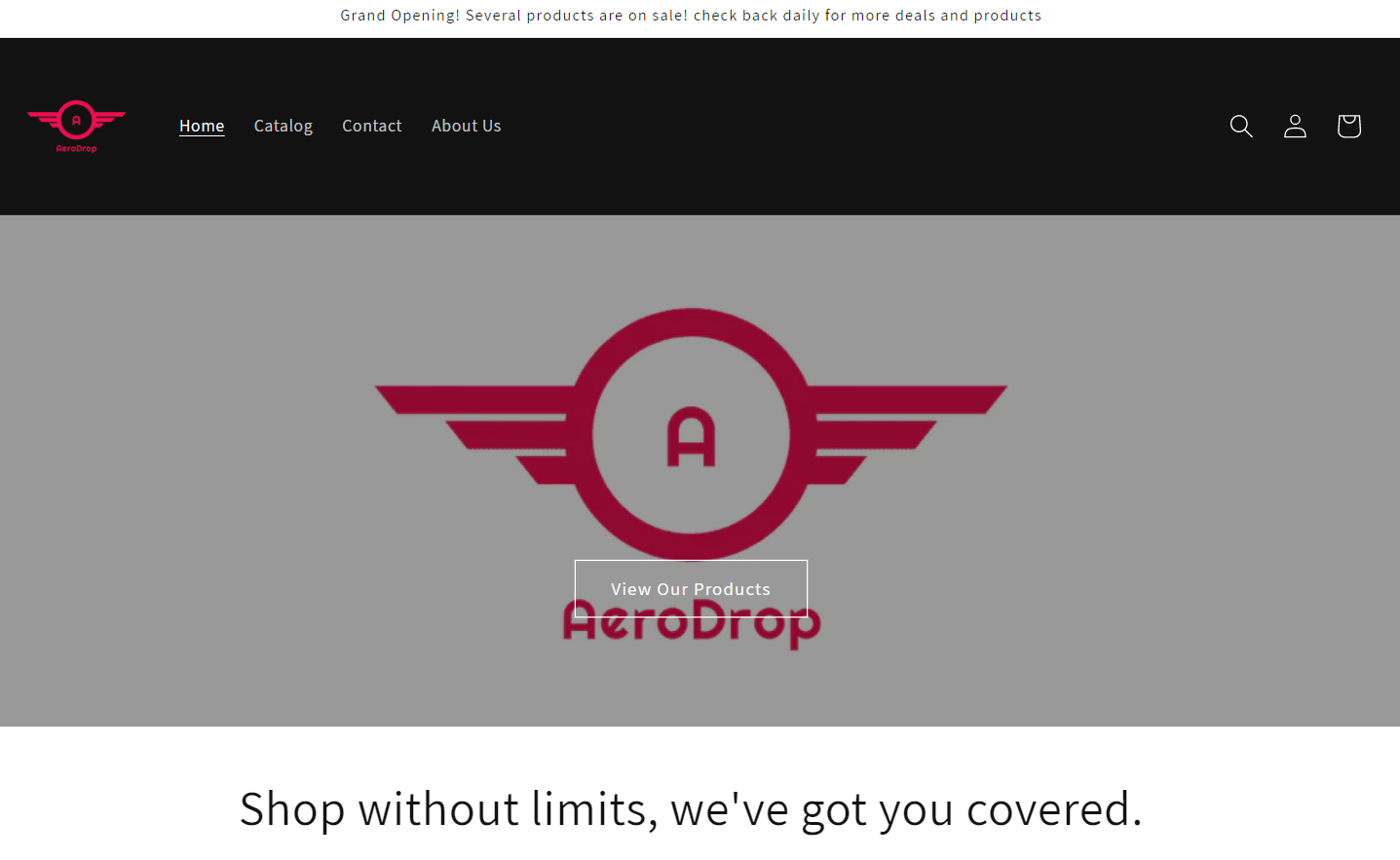 Aerodropstore.com review