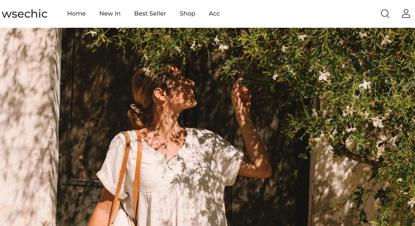 Wsechic.com review