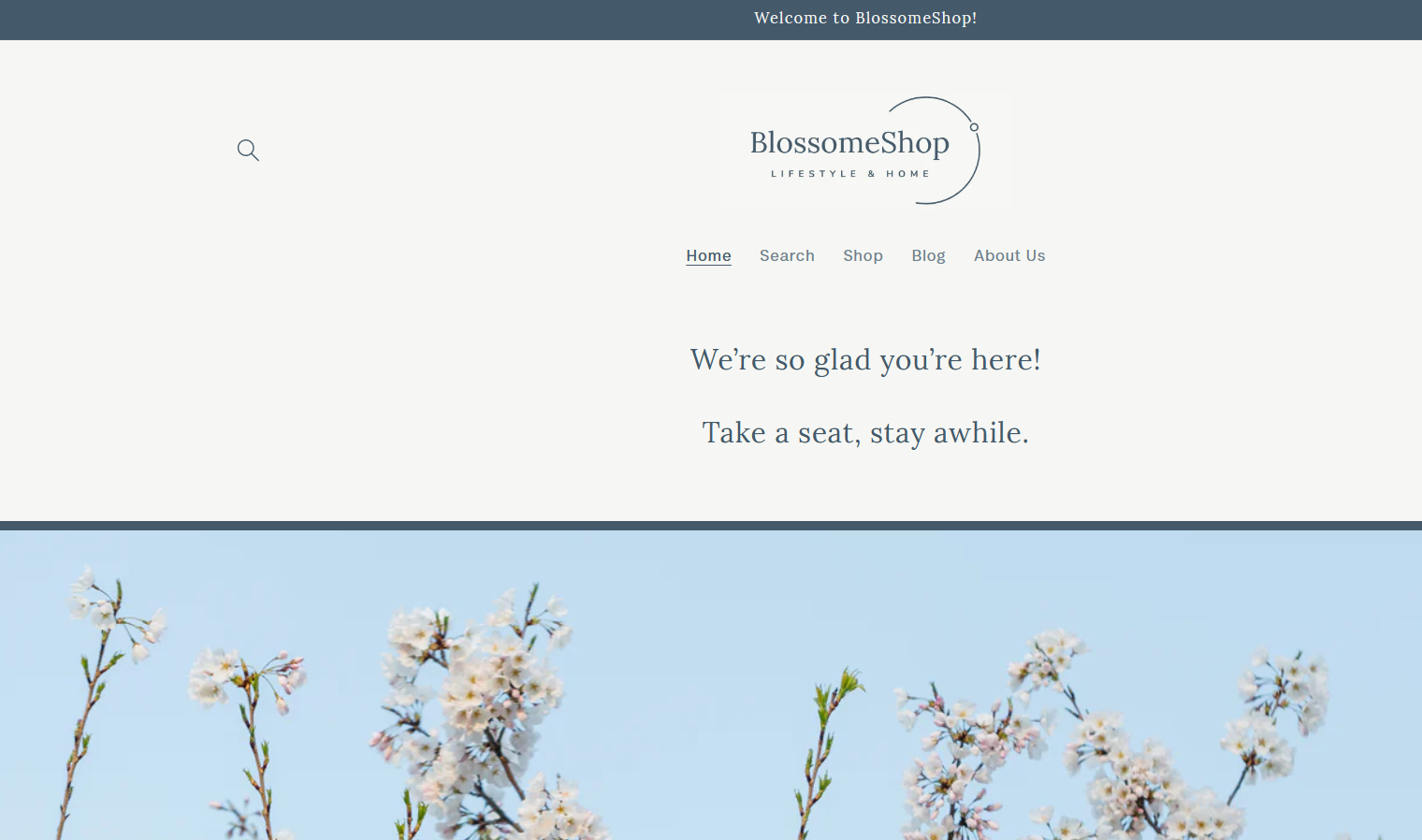 Blossomeshoppe.com review