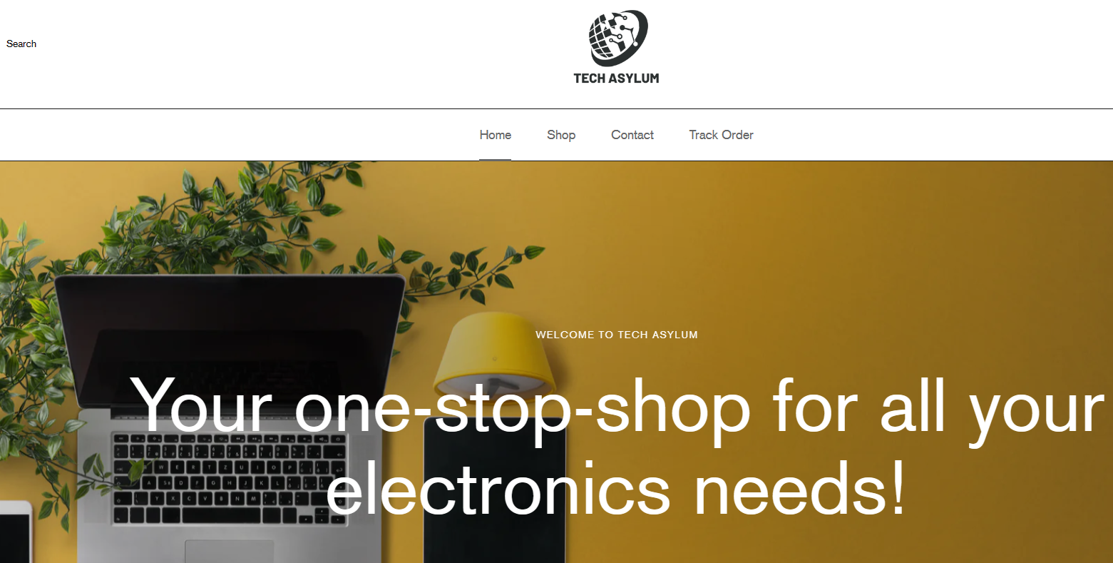 Techasylumshop.com review