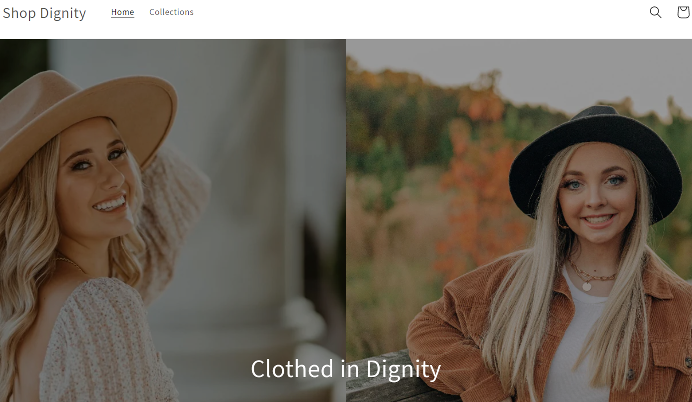 Shopdignity3125.com Review