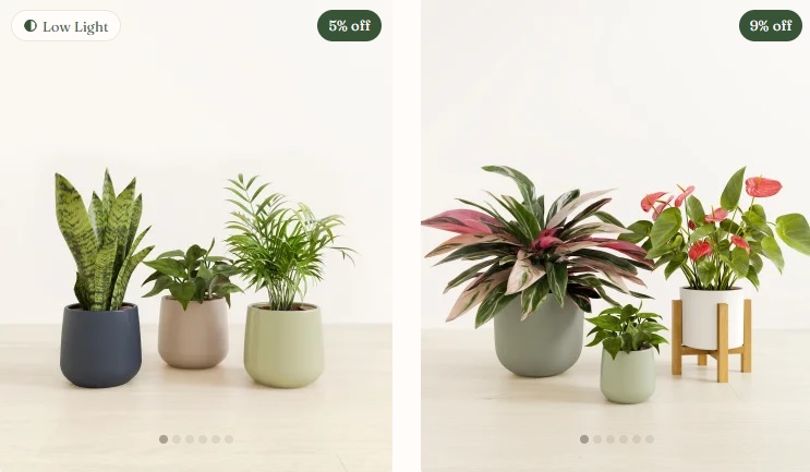 Easyplant