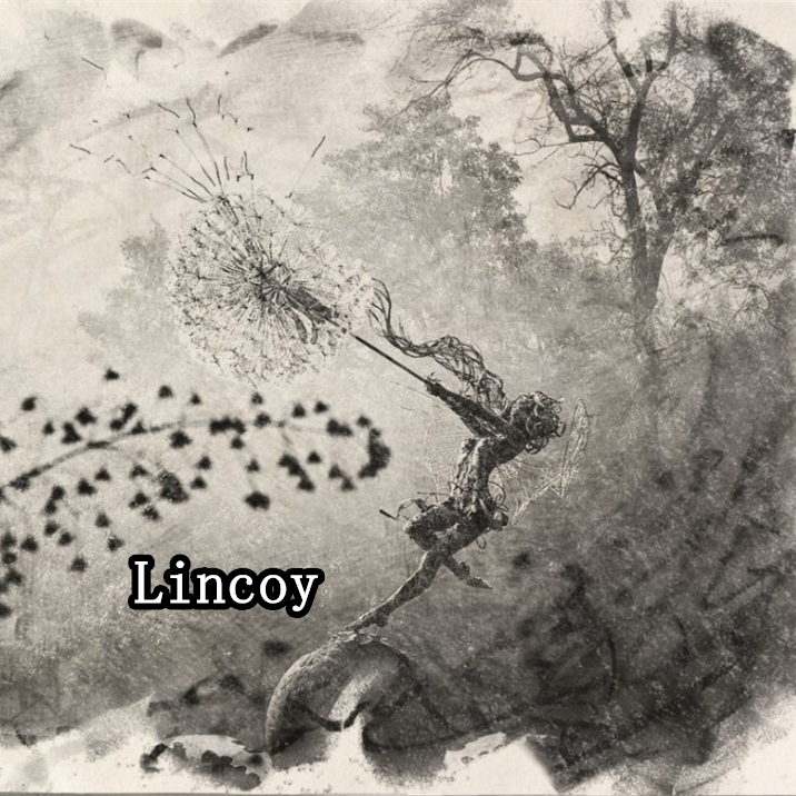 Lincoyonline