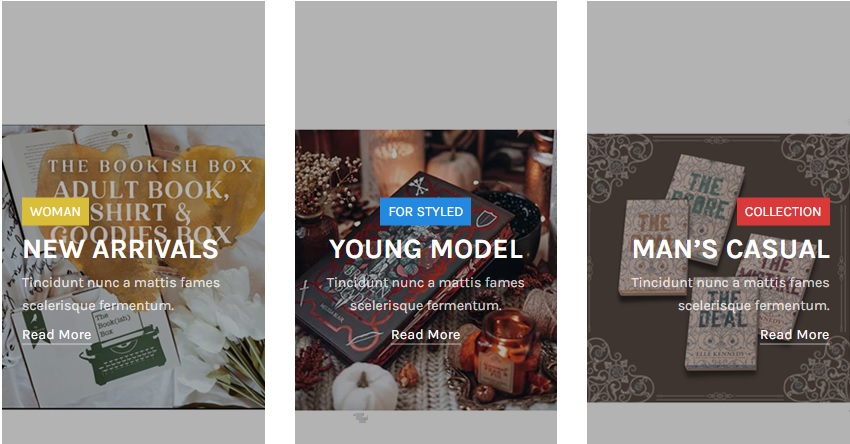 Thebookishshop