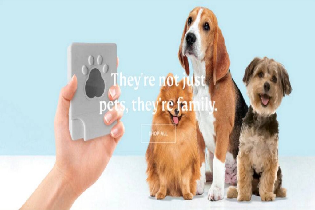 OWowpet