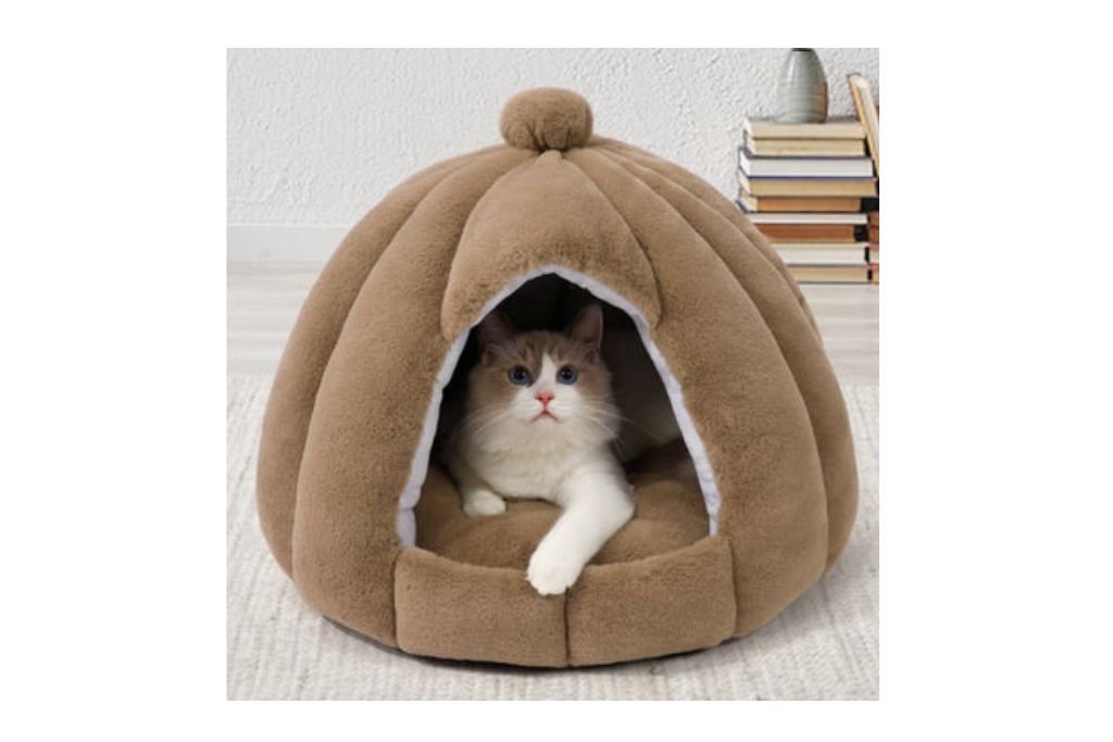 fluffypethaus.com legit or scam{2023}?
