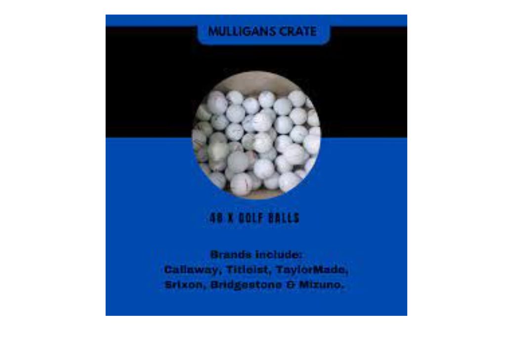 mullligansfriend.com{2023}: legit or a Scam?