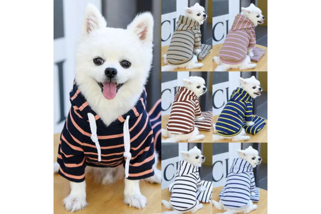 Petlovetee