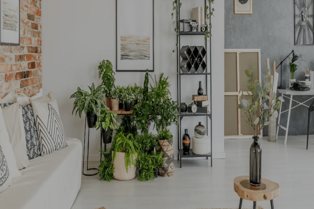 Boutiqueum