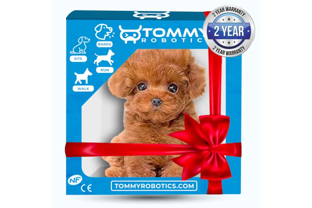 Tommy-robotics