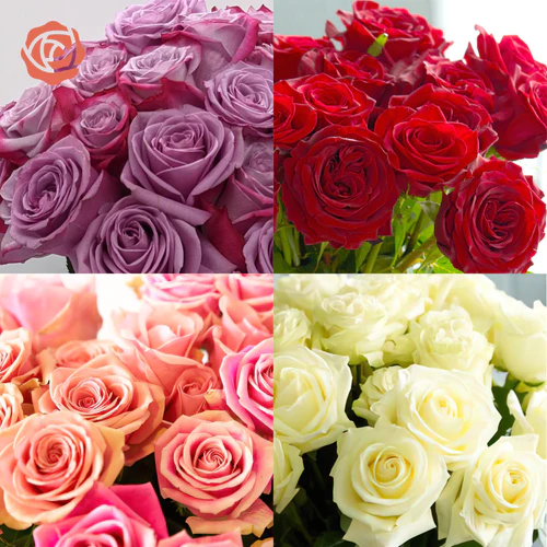 rosefarmers Review {2024}: Is rosefarmers.com Legit or a Scam?