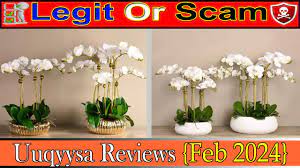 uuqyysa Review {2024}: Is uuqyysa.com Legit or a Scam?
