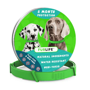 getfurlife (Furlife Collar) Scam or legit? getfurlife.com- Honest review!