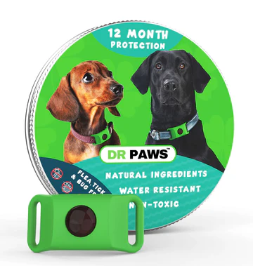 drpawsusa Scam or legit? drpawsusa.com- Honest review!