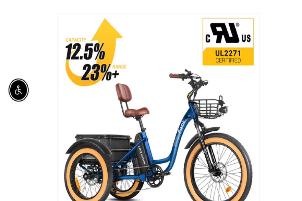 Max foot electric trike