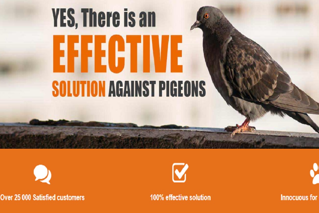 STOP BIRD PRO