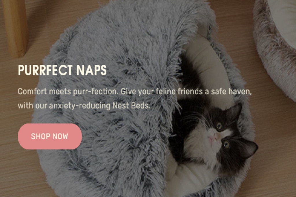 Lapcatz