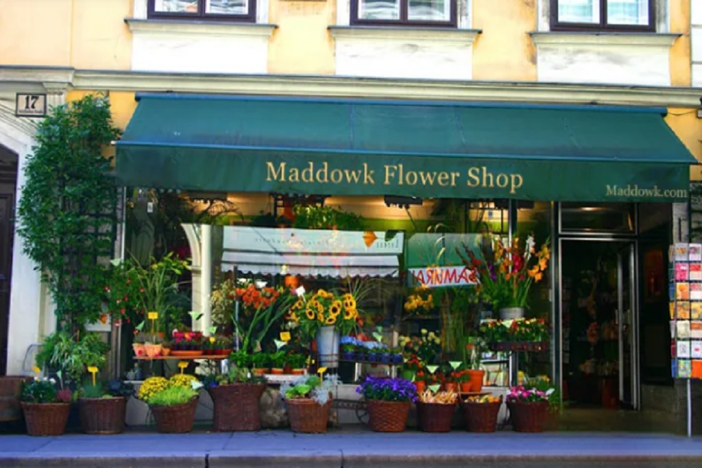 Maddowk