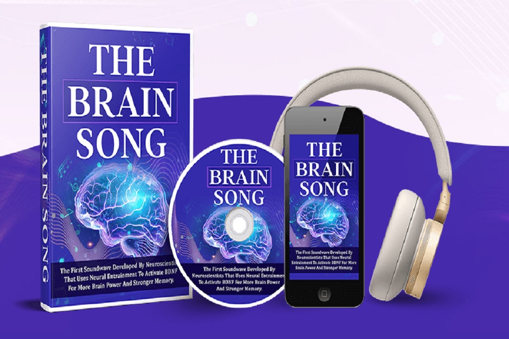 The Brain Song For Memory