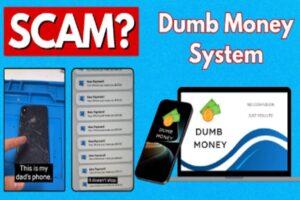 Dumb-Money System