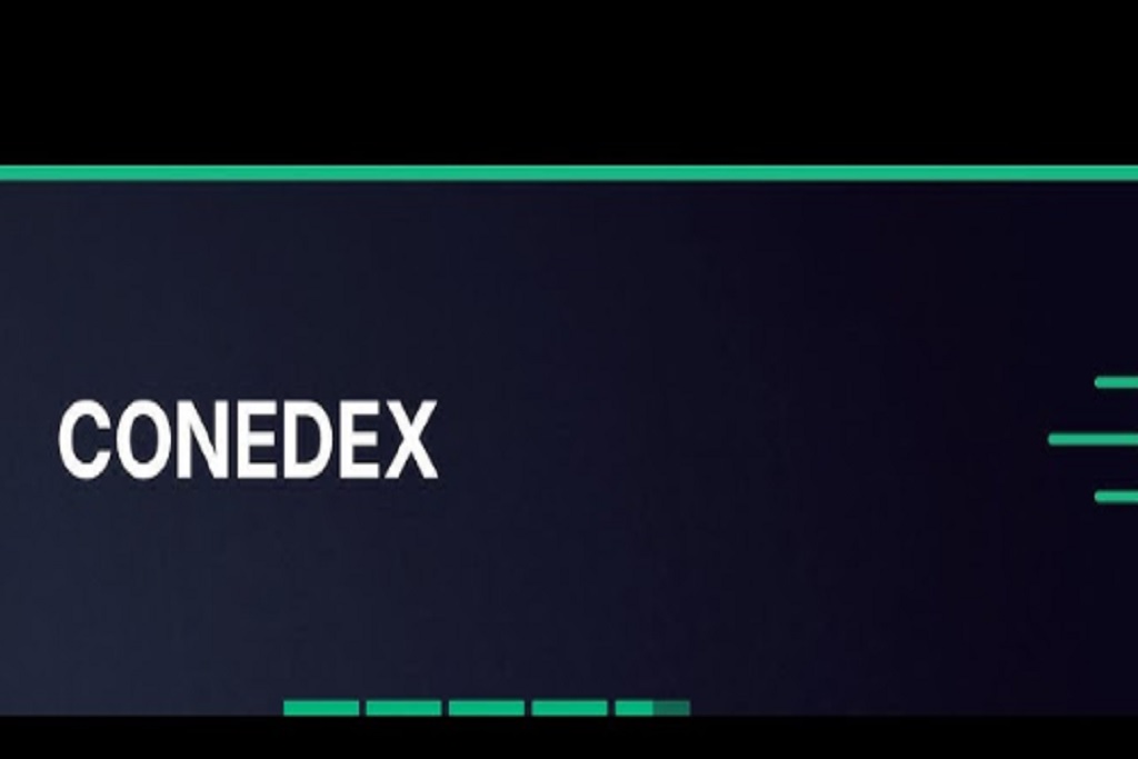 Conedex