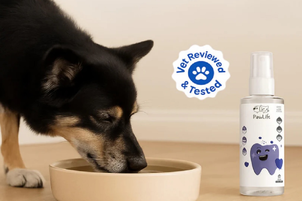 Paw-life Dental plus