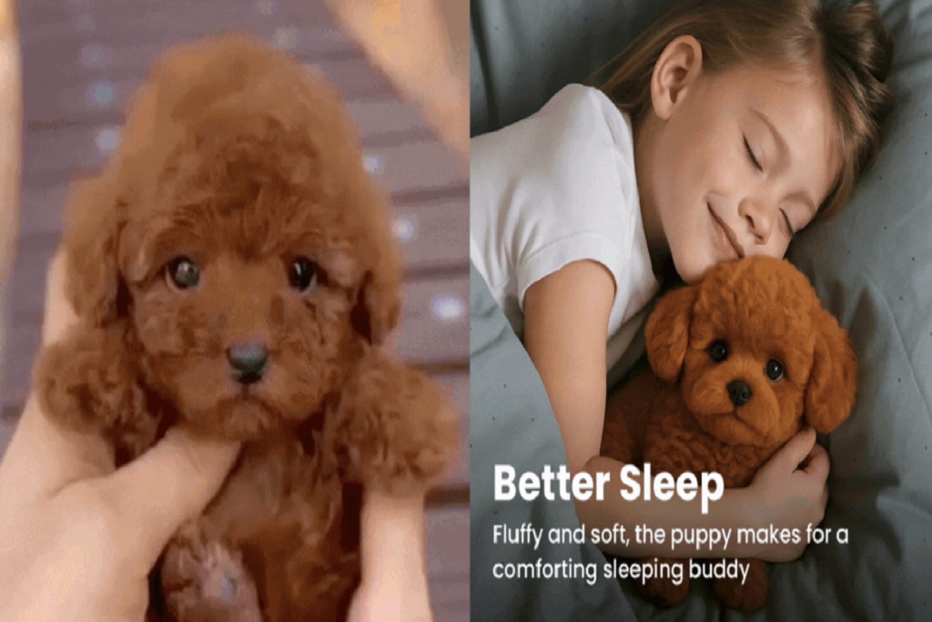 Froplay Toy Dog