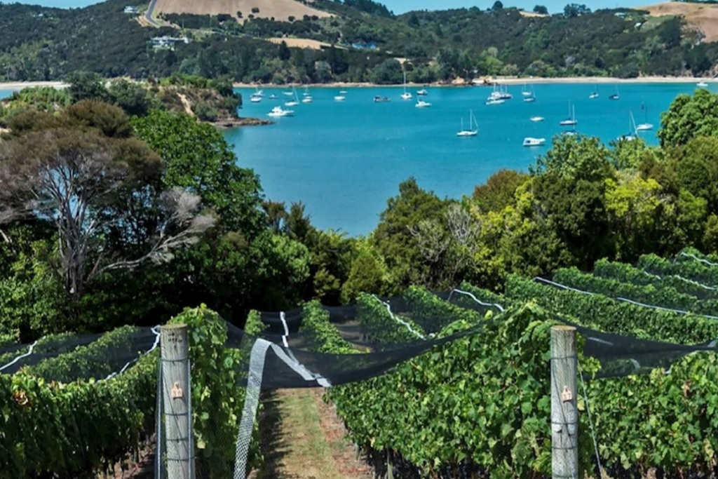 Waiheke-boutique