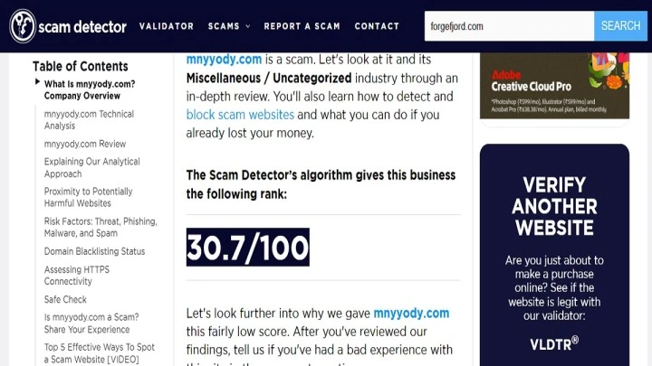 Viking warrior featured in an investigative Forgefjord Review 2026 about the store’s trust score, products, policies, and warning signs.