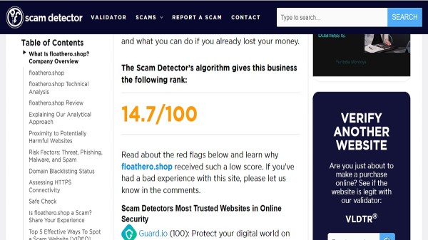 FloatBro Motor Floaties displayed in a pool for a Floathero shop scam or legit review