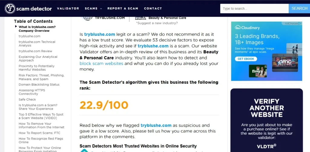 Close-up of an eye applying Blushe Growth Serum Mascara with feature text about Blushe review 2026 and scam or legit analysis.